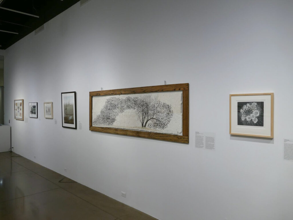 Under Pressure: National Printmaking Exhibition, Lincoln Center, CO