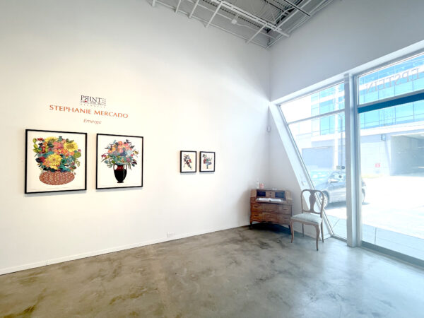 Mercado Stephanie Emerge Exhibition Installation Photo Hooks Epstein Galleries